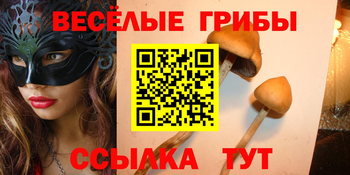 ГЕРОИН Сергиев Посад