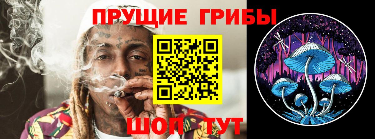 Галлюциногенные грибы MAGIC MUSHROOMS  купить закладку  Сергиев Посад  Вход с VPN  Галлюциногенные грибы MAGIC MUSHROOMS 